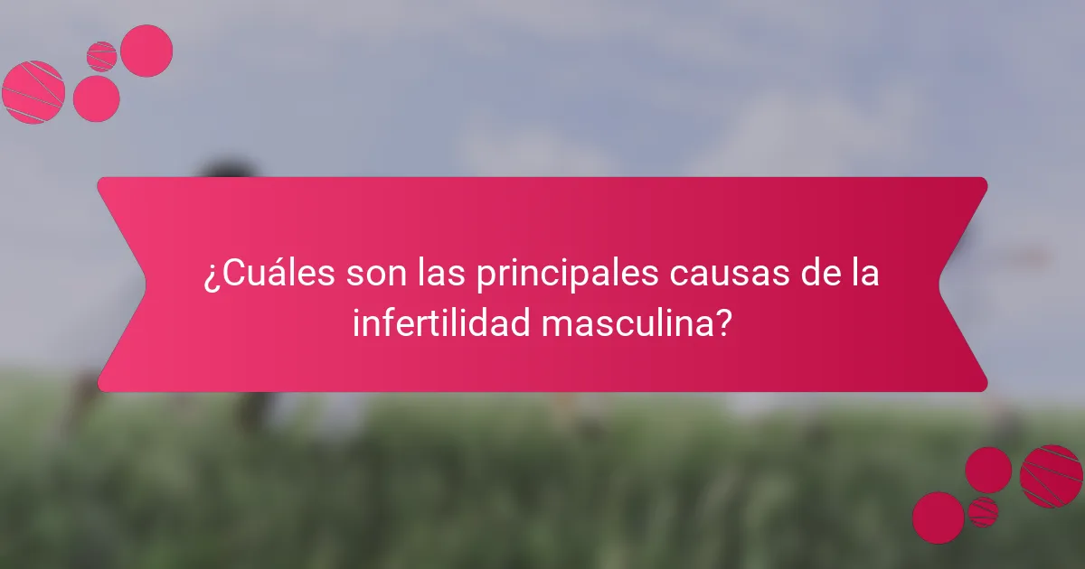¿Cuáles son las principales causas de la infertilidad masculina?